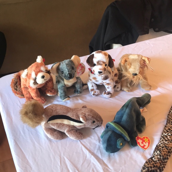 TY Beanie Baby Collection. - Picture 6 of 6